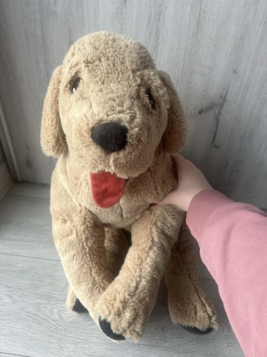 Pluszak pies GOSIG GOLDEN