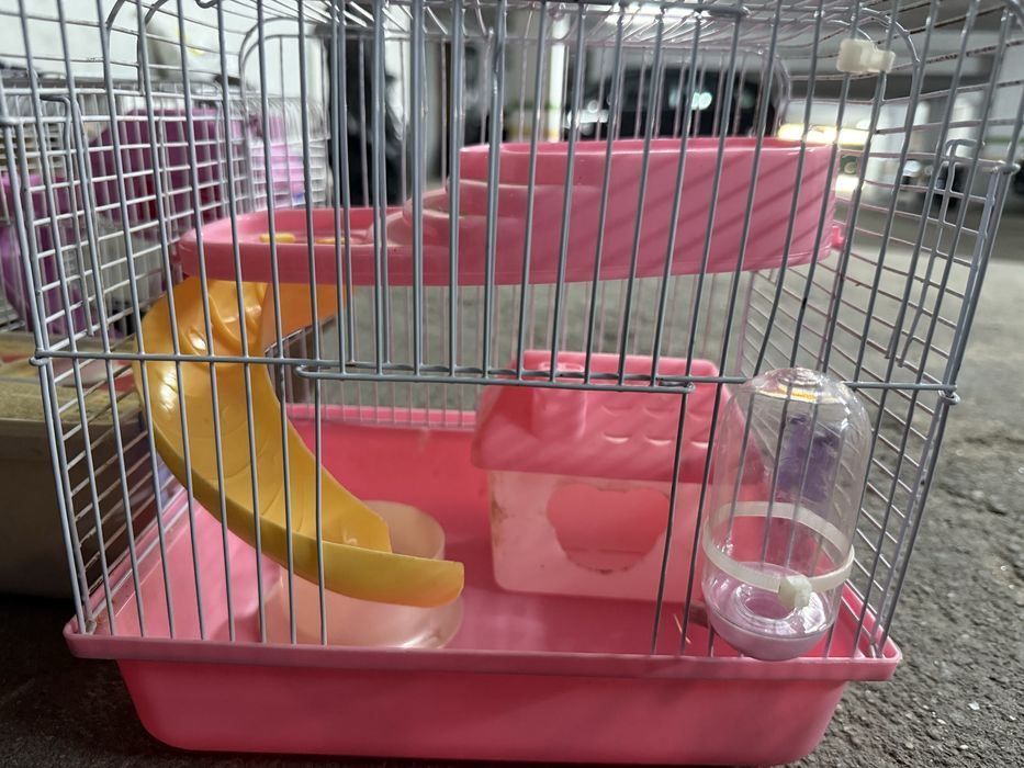 Gaiola de hamster