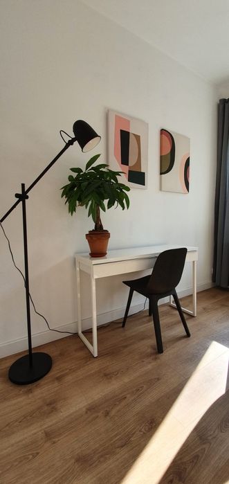 Kawalerka jezyce rynek jezycki poznan centrum kamienica