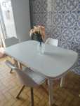 Conjunto mesa e cadeiras