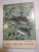 Atlas Ryby wód polskich
