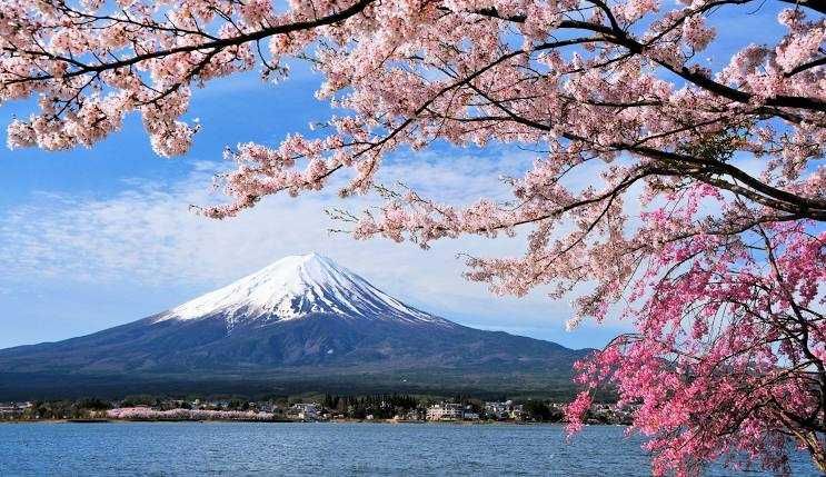 "Guia de viagem DK Eyewitness Travel" JAPÃO em inglês -> NOVO