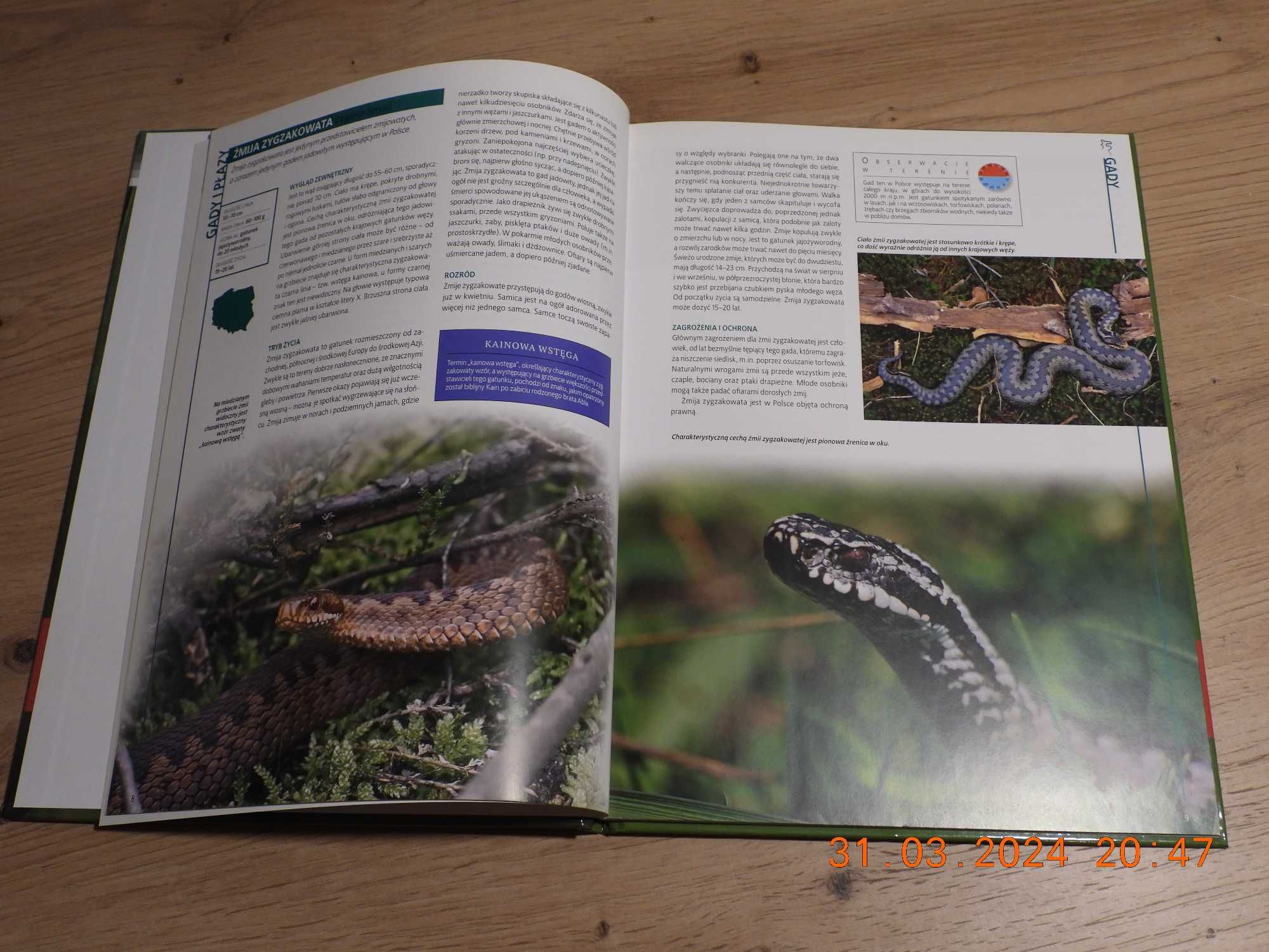 Encyklopedia Przyrody - Tom 4 Zwierzęta - Gady i Płazy