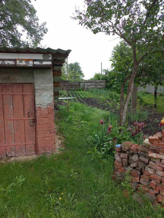 Продам будинок в селі Хитці ( 18 соток )