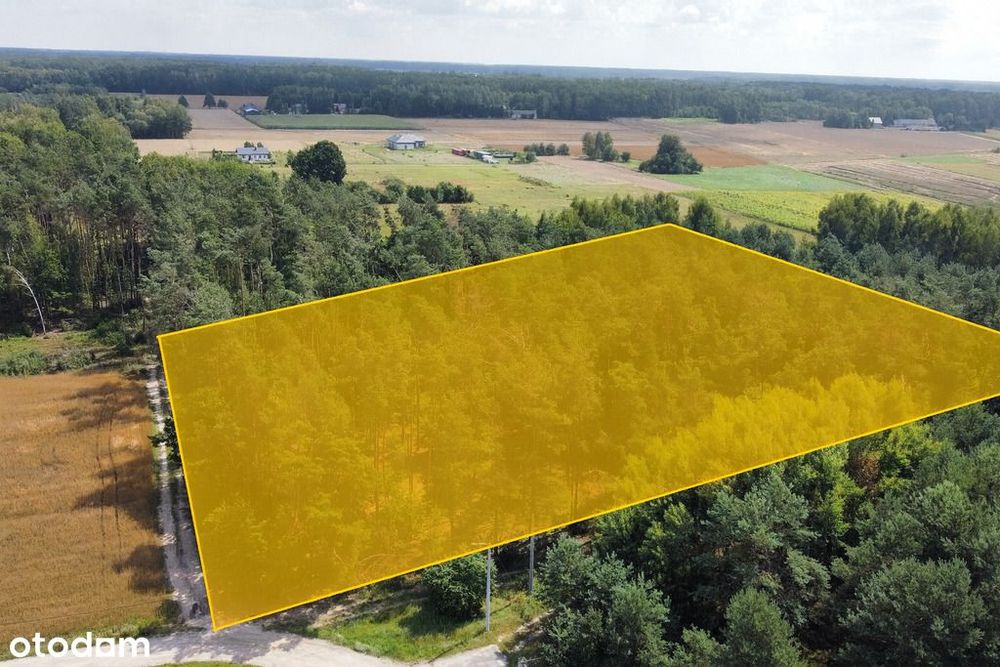 Działka leśno-budowlana 2,1 ha Zbuczyn Jana Pawła