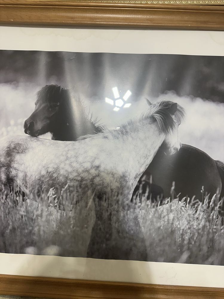 Картины акрил и фотопечать