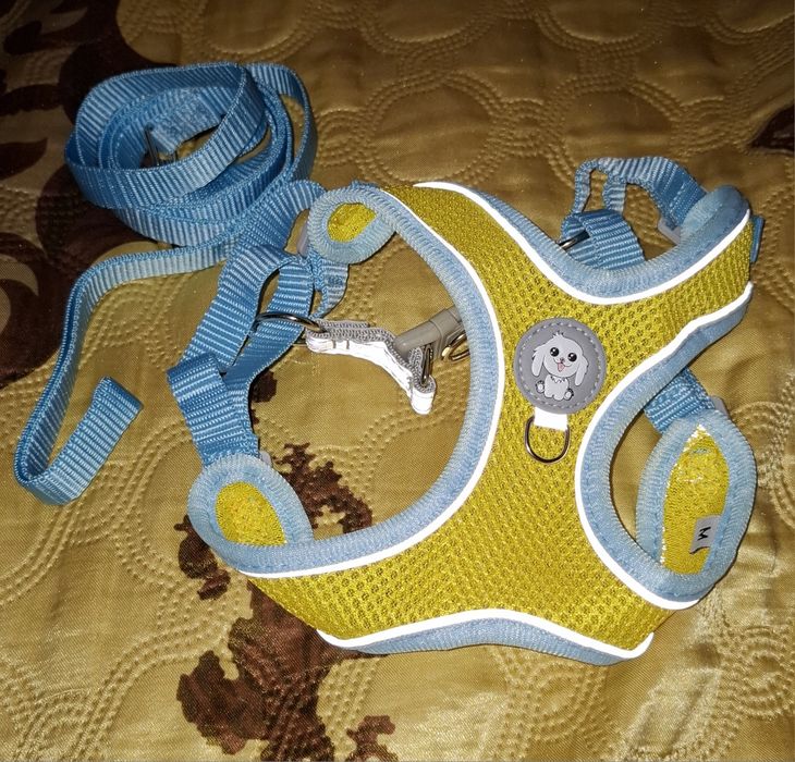 Поводок, шлея для собак