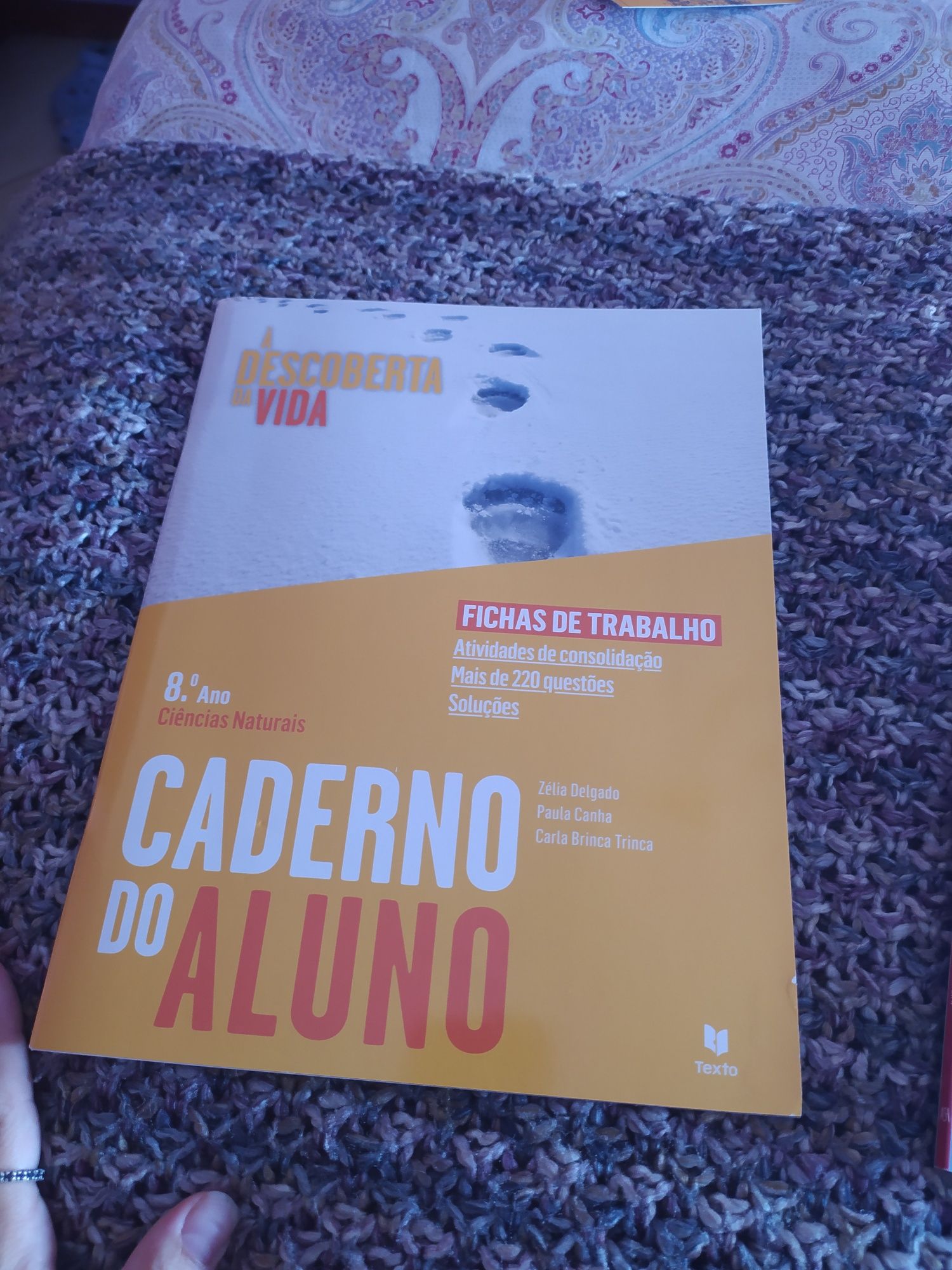 Cadernos de atividades 8° ano