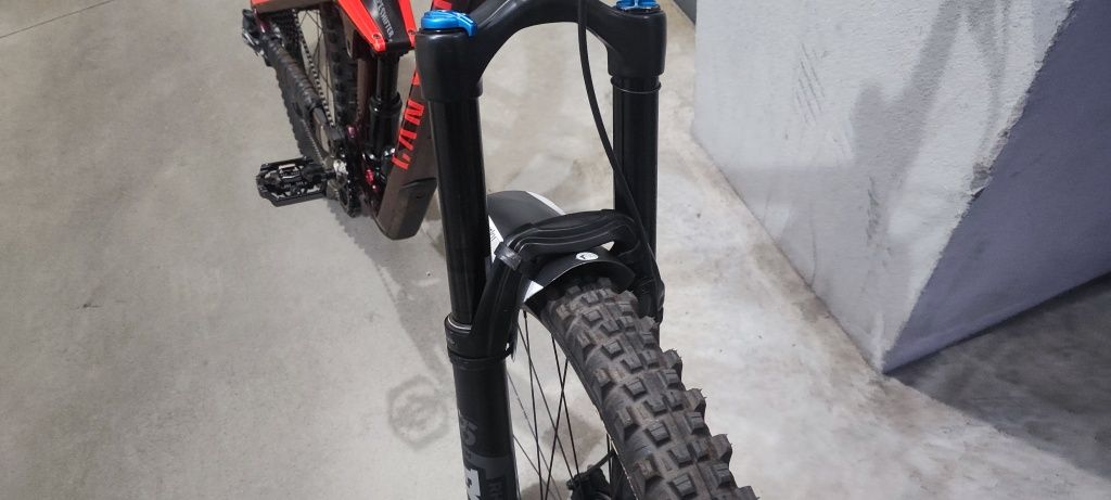 Canyon strive enduro