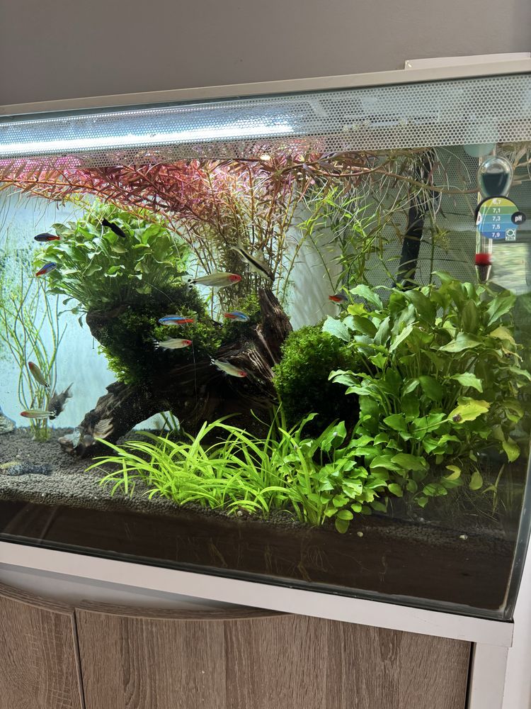 Akwarium Fluval 128l - Full Zestaw