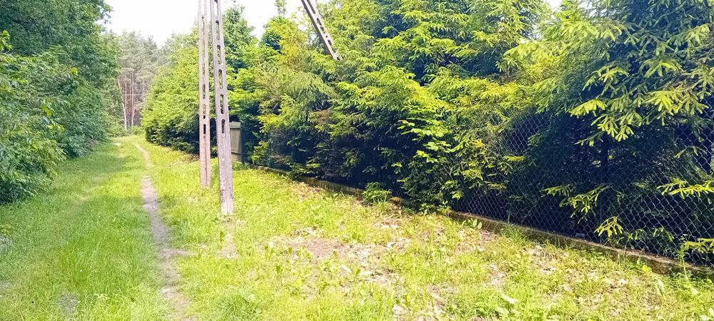 Działka ul Gajowa (Góry)