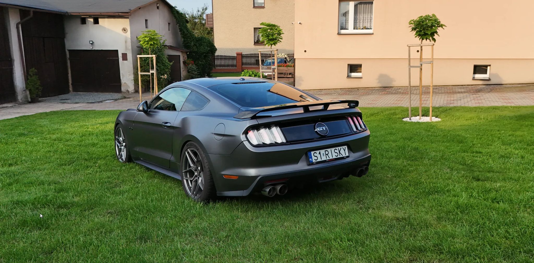 Ford Mustang Ford Mustang GT 5.0 V8