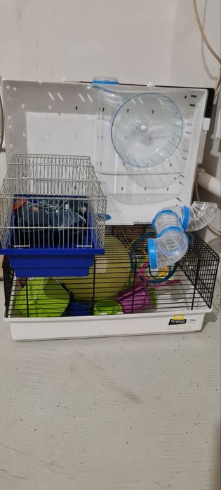 Клітка для гризунів