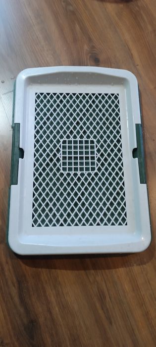 Kuweta do nauki sikania dla szczeniąt