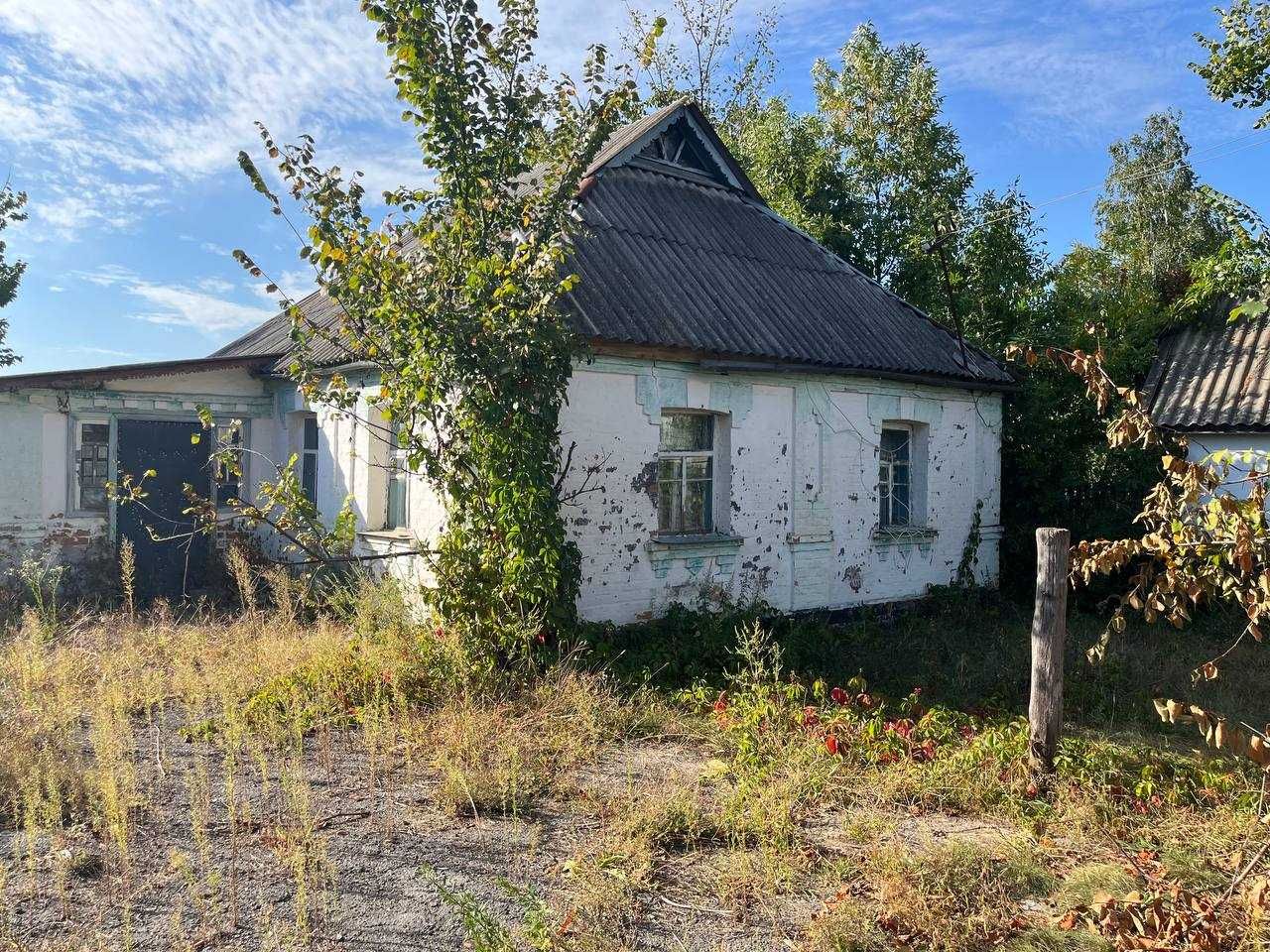 Здам в Оренду земельну ділянку