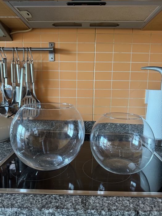 2 Aquarios de peixes