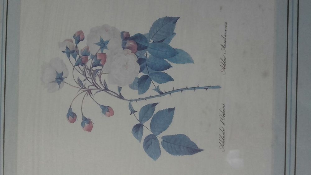 gravuras: tríptico com flores