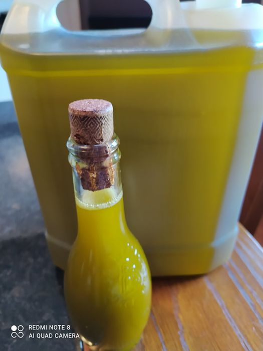 Azeite Extra Virgem Tras-os-Montes