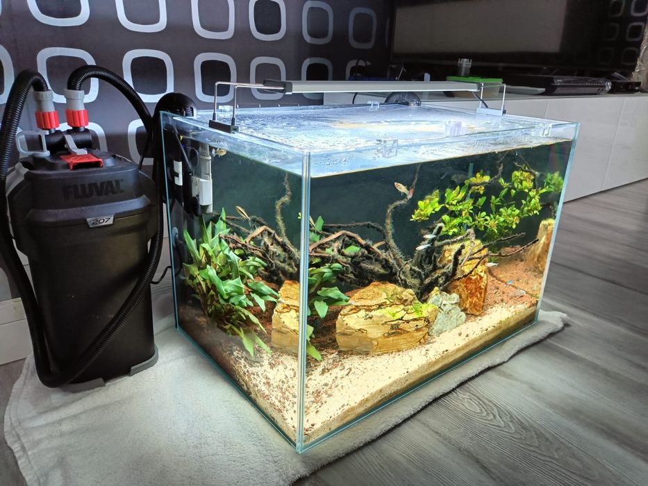 Aquário Extra Claro 100L + Fluval 207