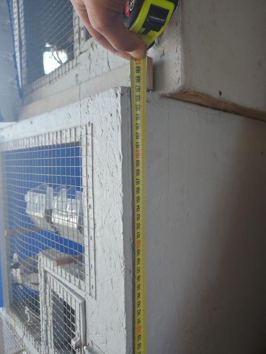 Gaiola para pássaros
