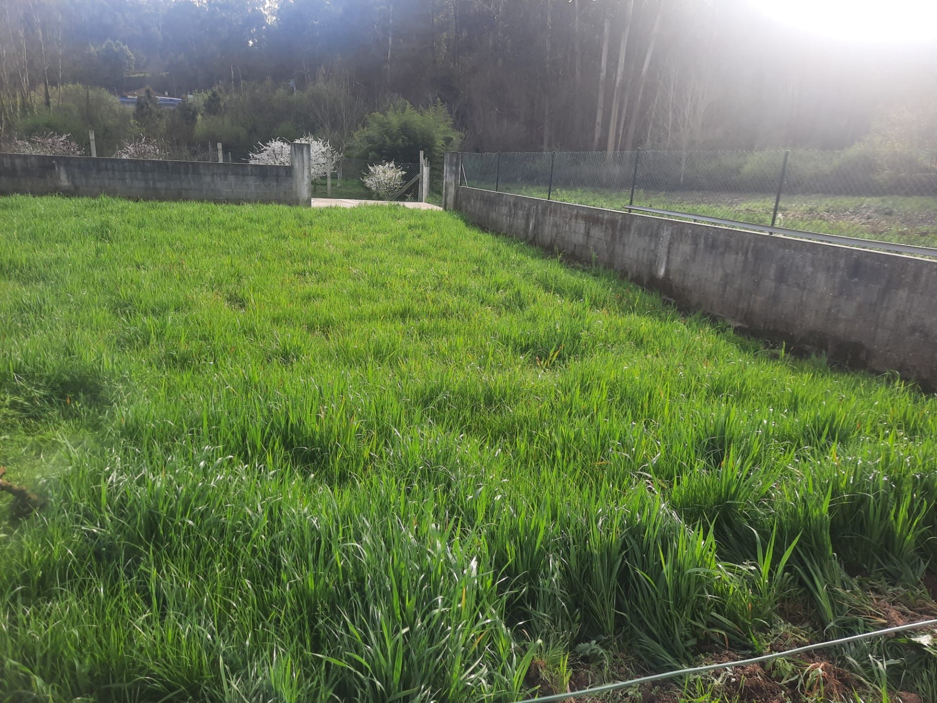 Limpezas gerais {terrenos,jardins é muito mais}