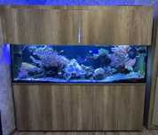 Akwarium 600l. 200x50x60h +sump+stelaż+szafka+hydraulika
