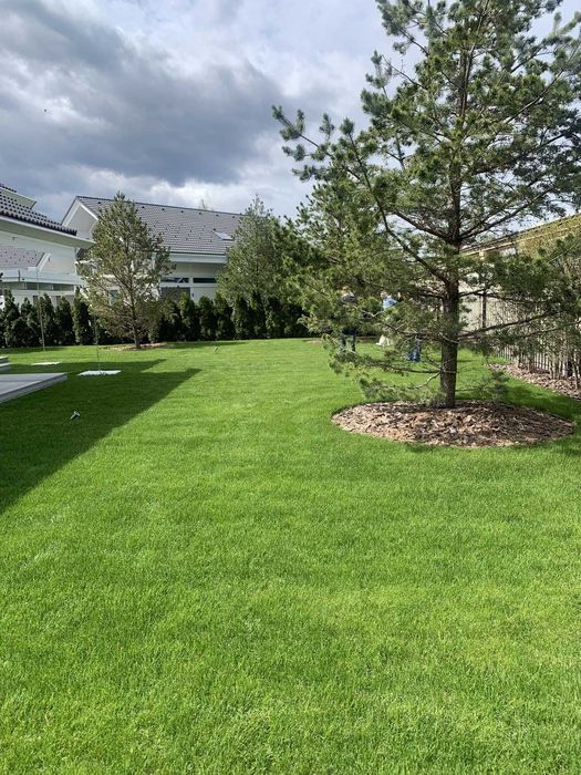 Озеленення ділянки,ландшафтні послуги