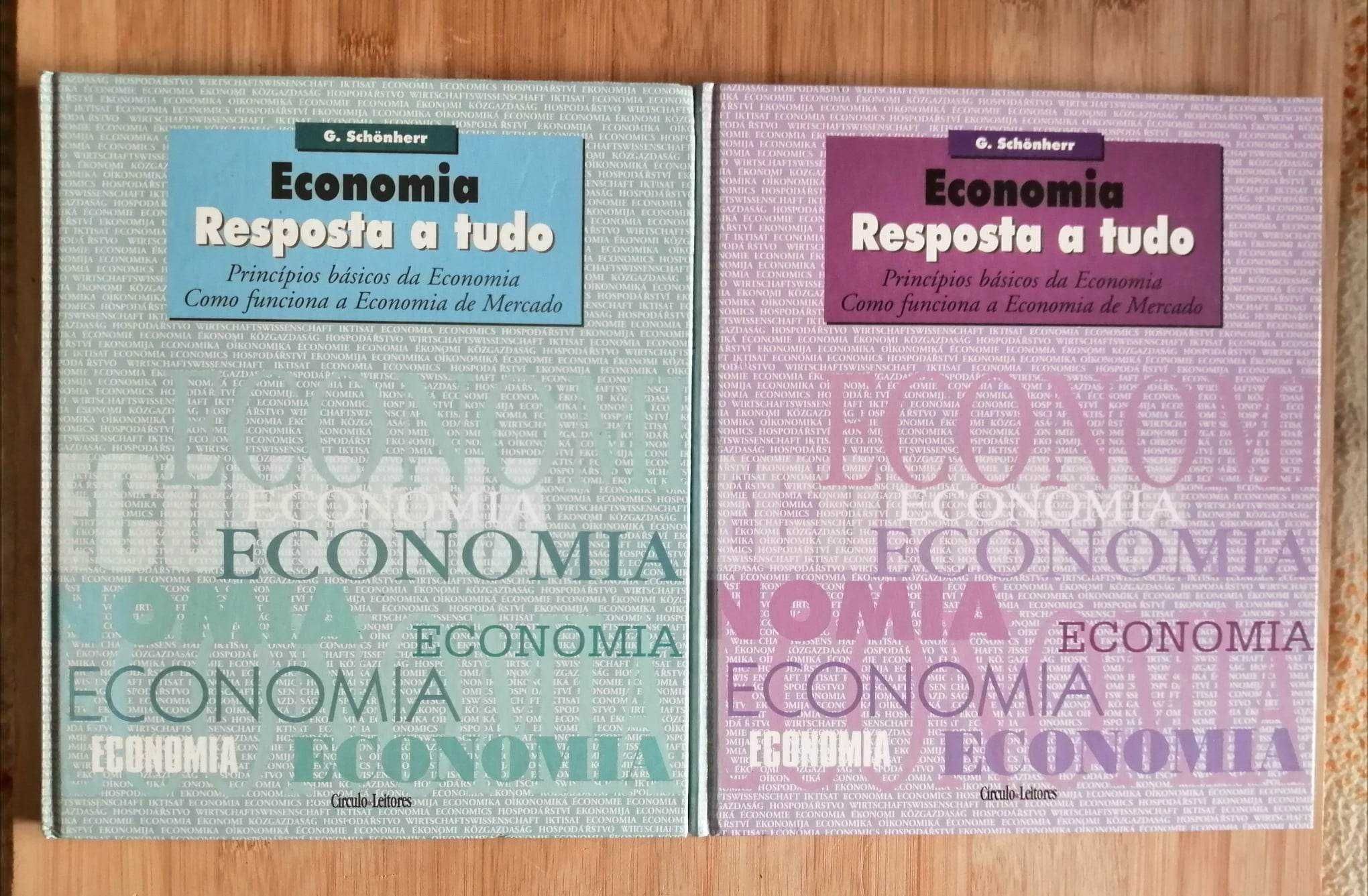 Economia - Resposta a Tudo