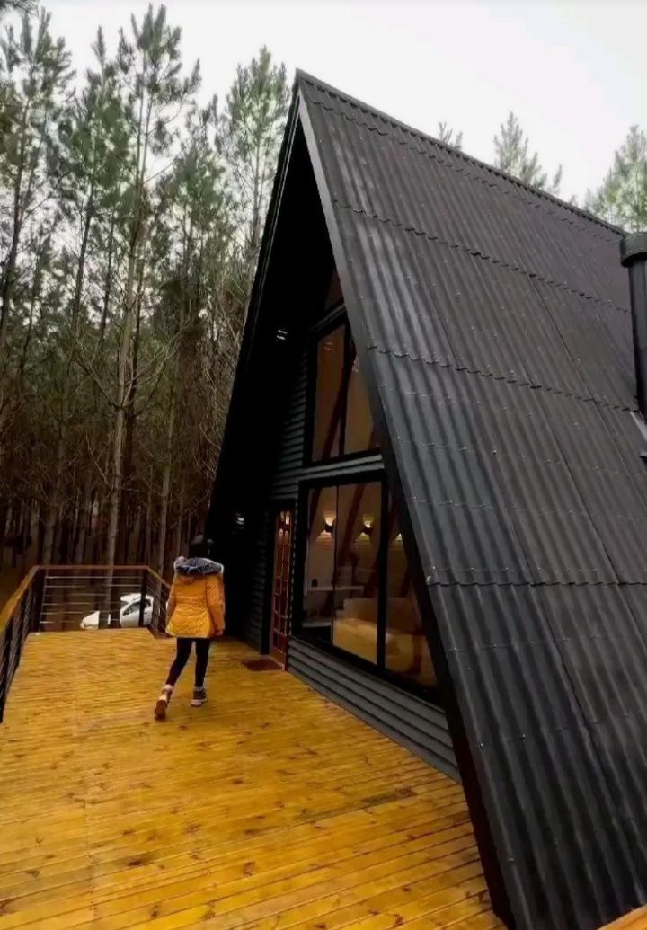 Будинки A-Frame будуємо