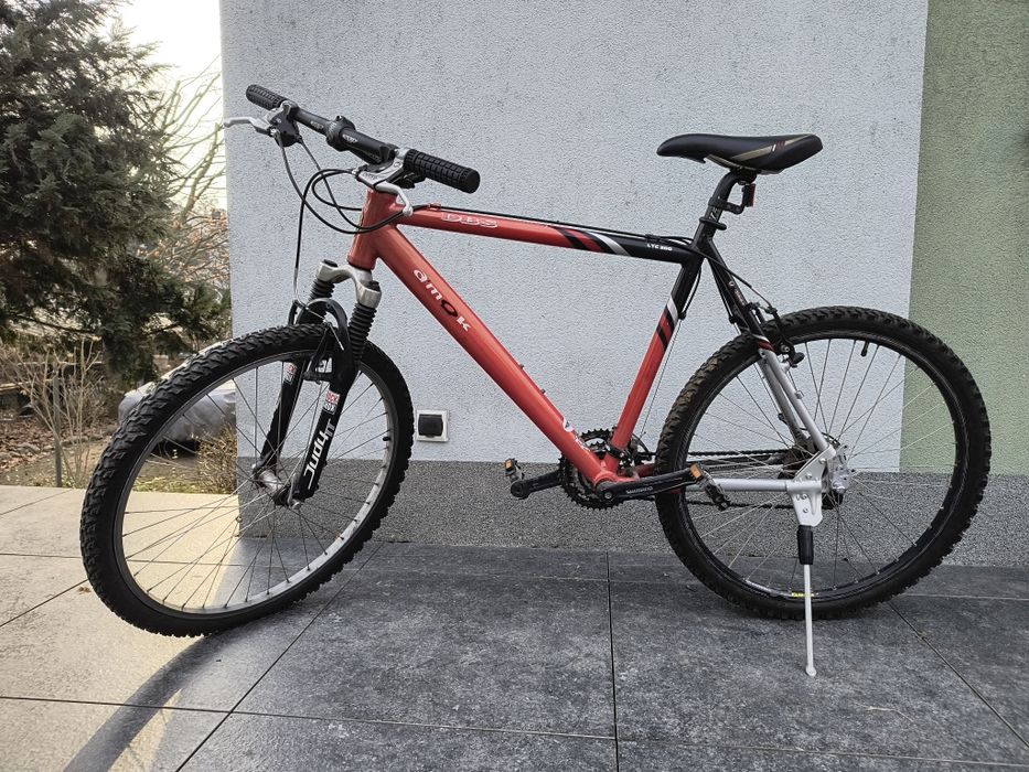 Rower męski  DBS rama 21"