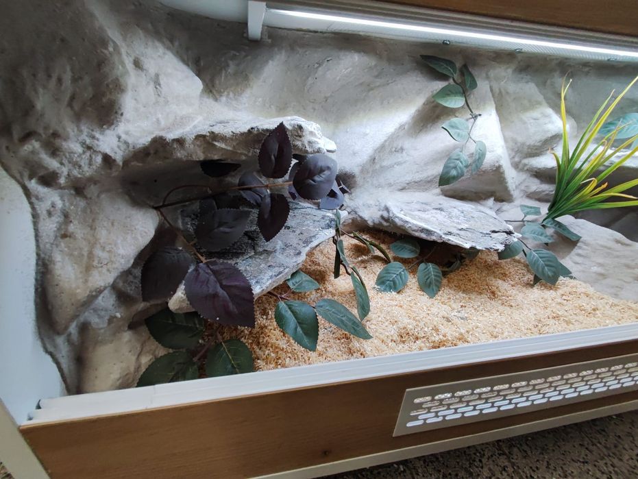 Terrarium 100x40x40 wąż pyton boa PETMARKET