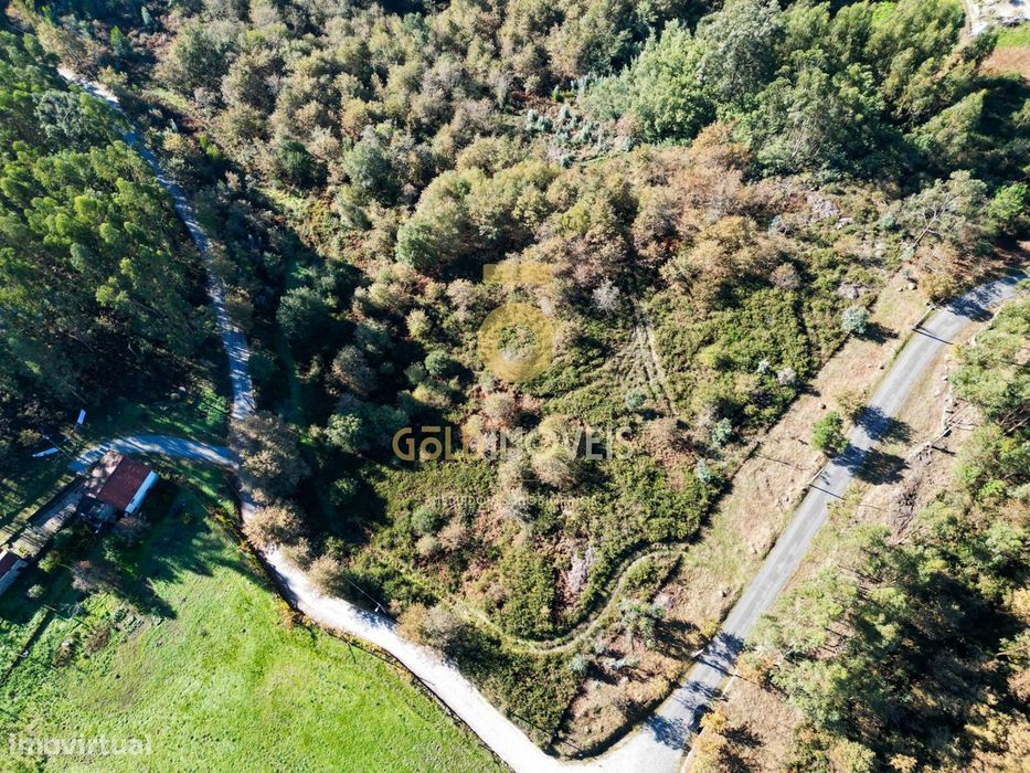 Terreno Rústico  Venda em Sande e São Lourenço,Marco de Canaveses