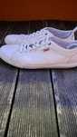 Tenis Levis Semi novos