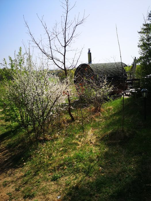 Domek pod lasem podlaskie zwolnił się termin Święta Bożego Narodzenia