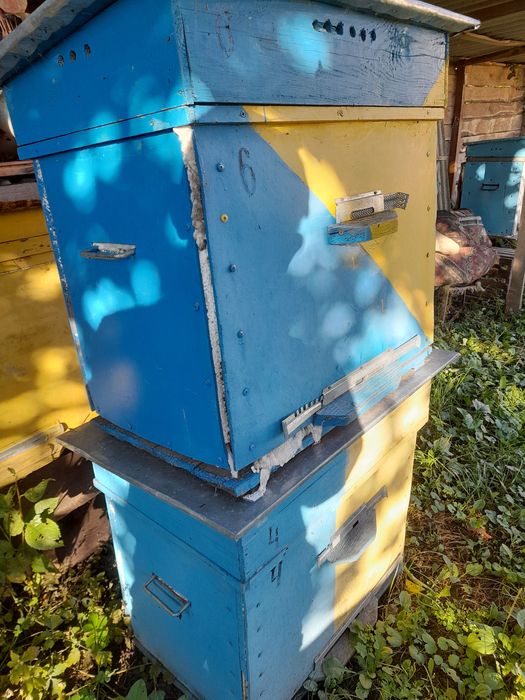 продам вулик для бджіл