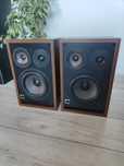 Kolumny monitory Arcus ts 15
