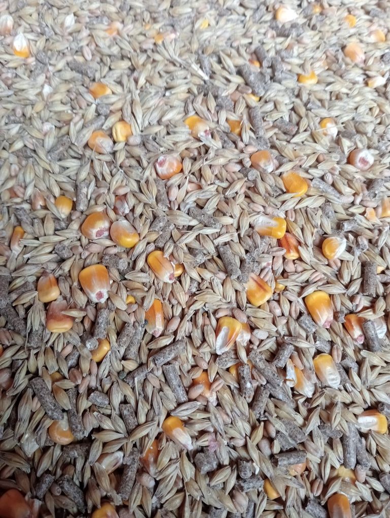 Karma dla królików 25 kg