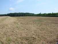Działka Usługowo - Mieszkaniowa 2 ha / MPZP / Bezpośrednio