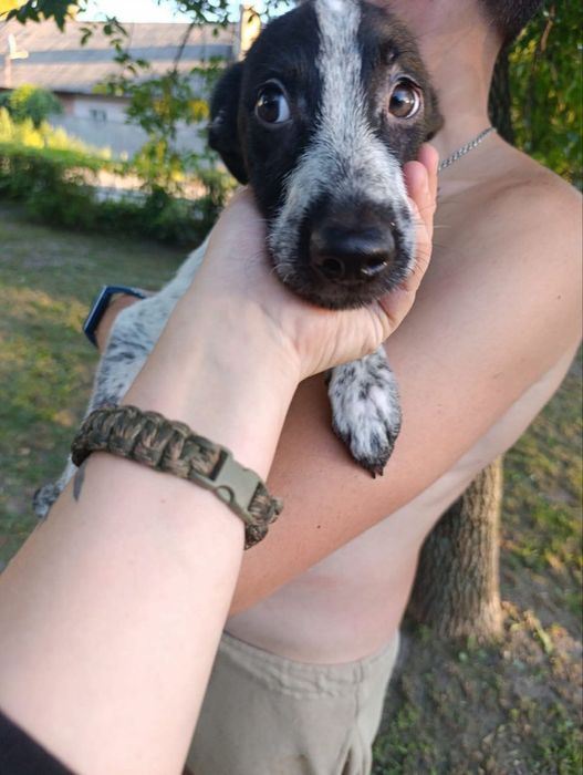 Малюки в родини!