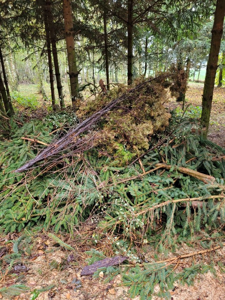 Gałęzie konary opał drewno