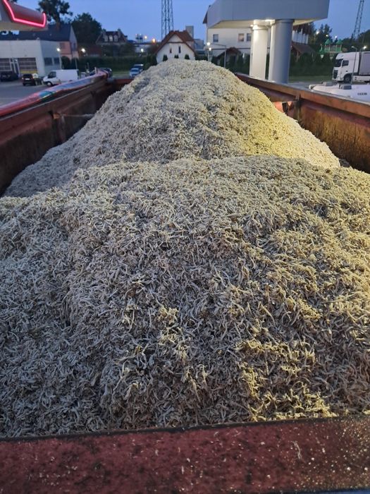 Wysłodki mokre 2025