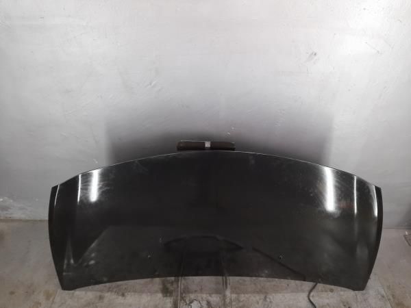 Capot RENAULT Clio III (BR0/1, CR0/1)