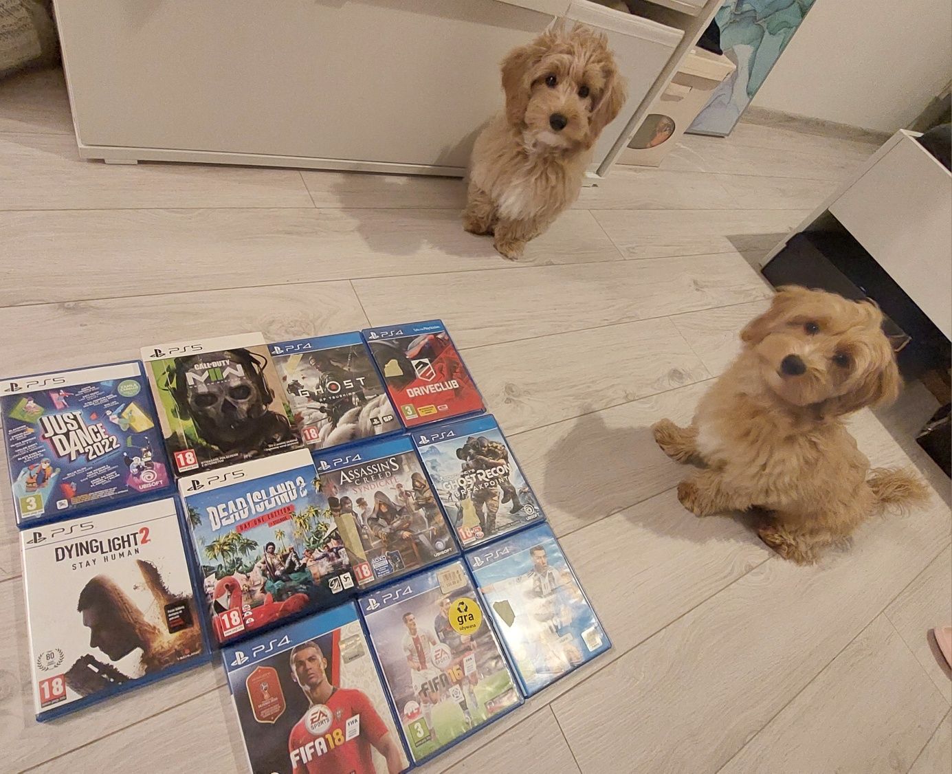 Gry PlayStation 5 4  PS5 / PS4