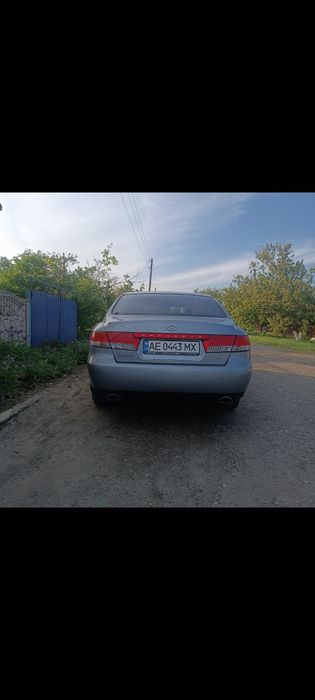 Продам нетерміново чудового сімейного улюбленця.