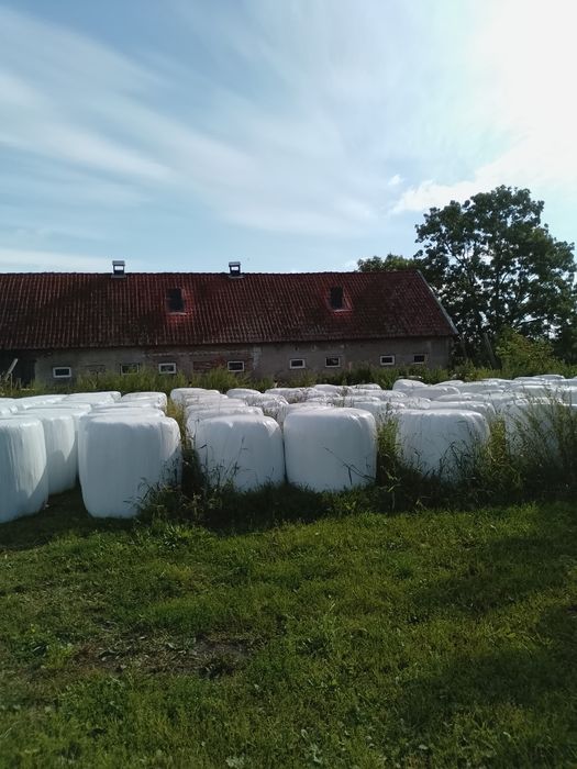 Sprzedam sianokiszonkę