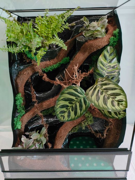 Terrarium wyposażeniem wodospadem oświetlenie gekona AquaWaves TW17WBP