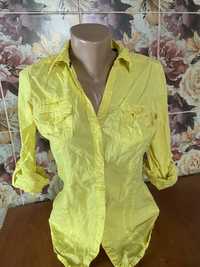 Рубашка жовтого кольору. Terranova. Сорочка. Блуза