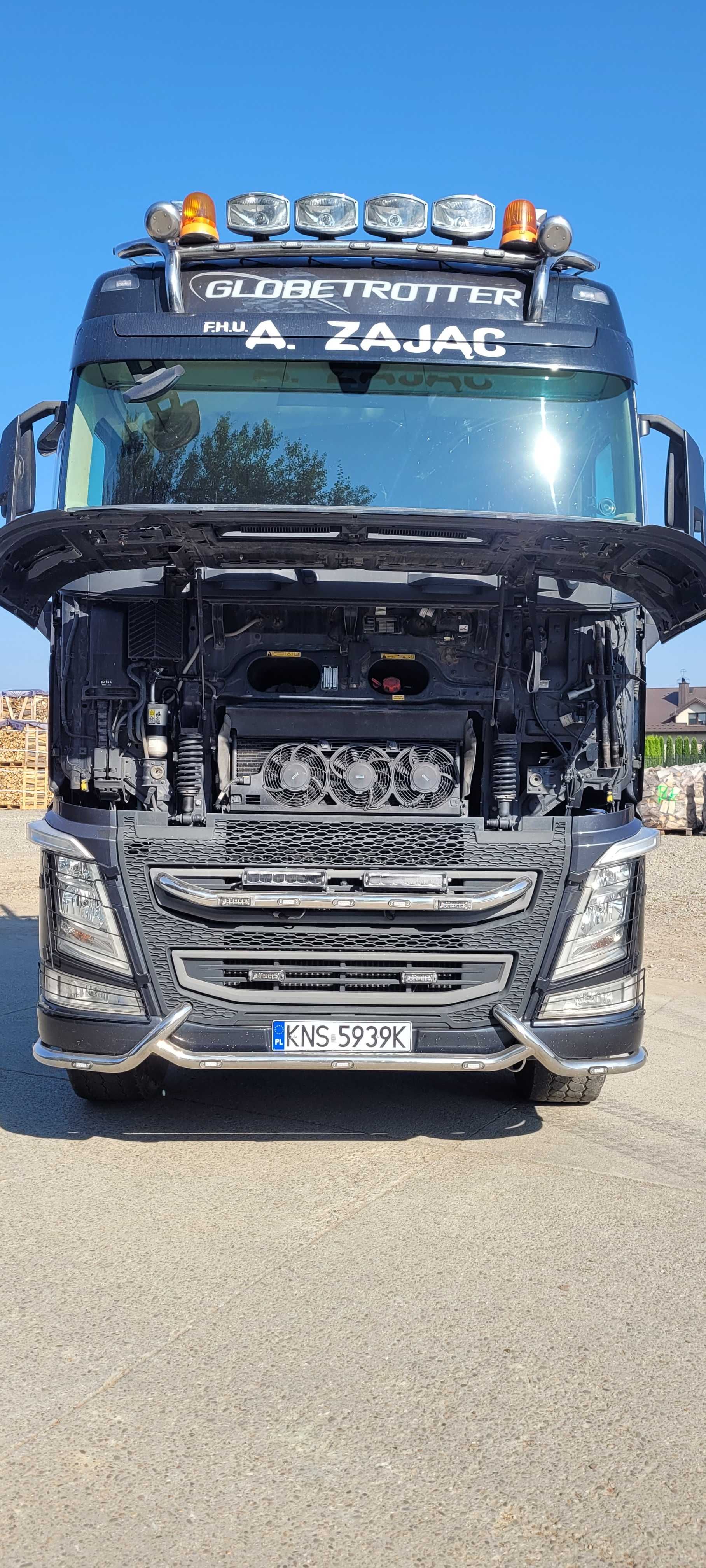 Volvo FH 540 Epsilon do transportu drewna - Niski przebieg!