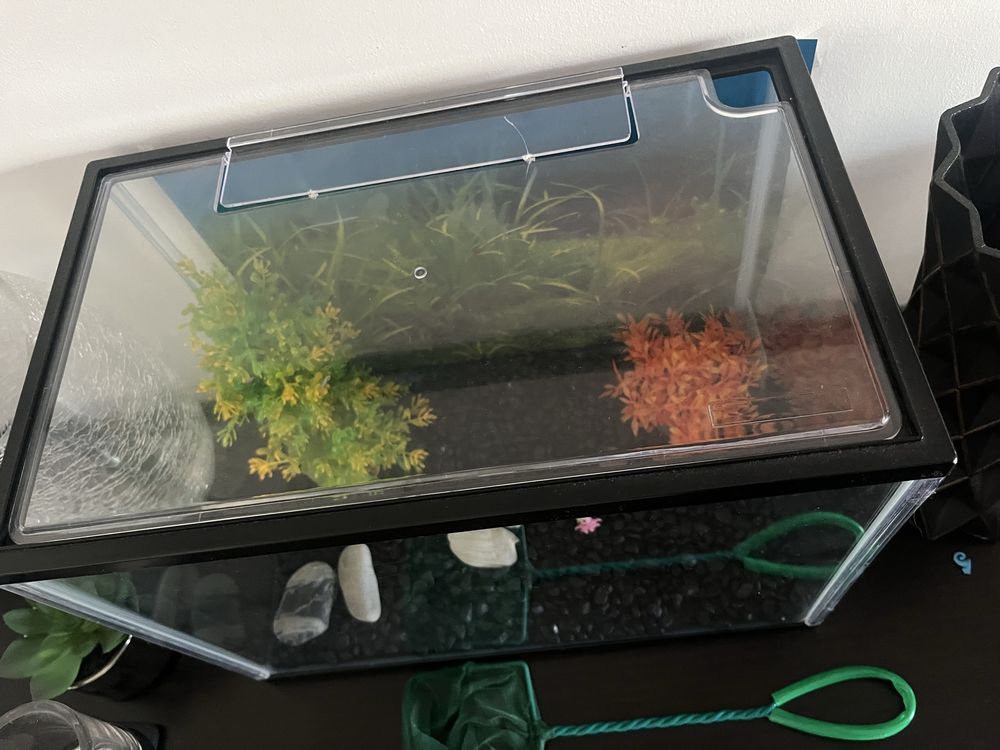 Aquario retangular 20 litros