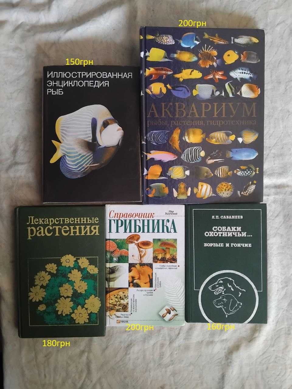 Книги по интересам от авто и программирования до рукоделия и быта
